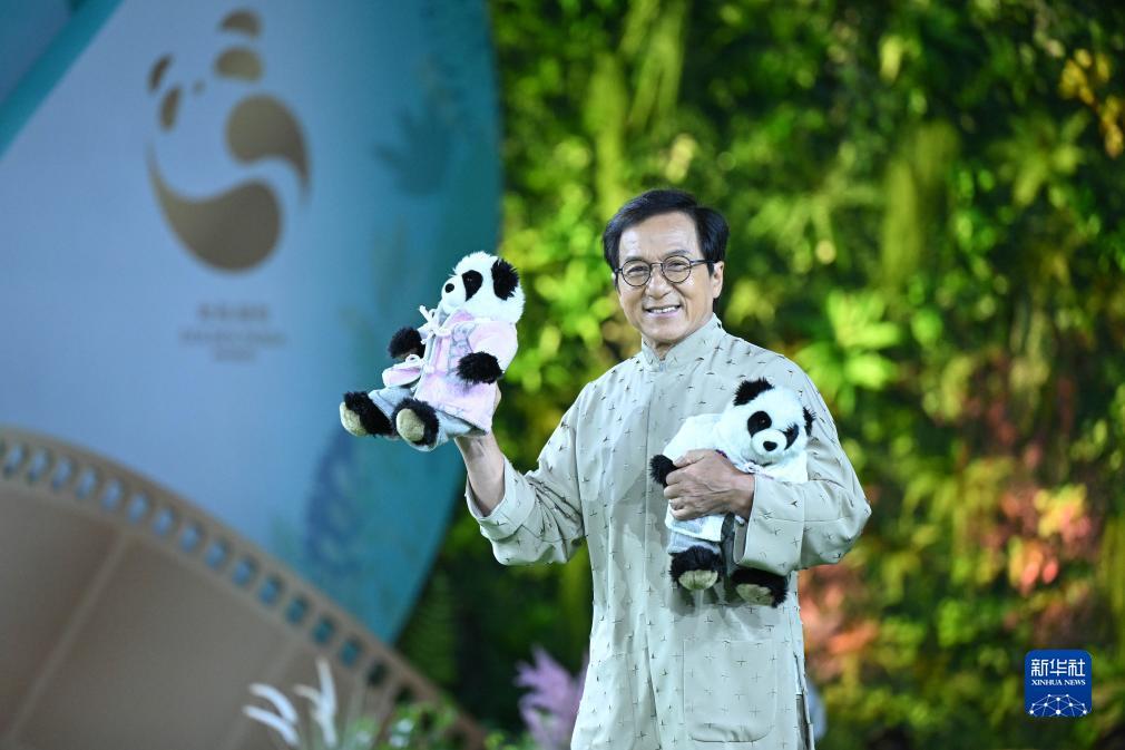 402cc网站怎么进不去